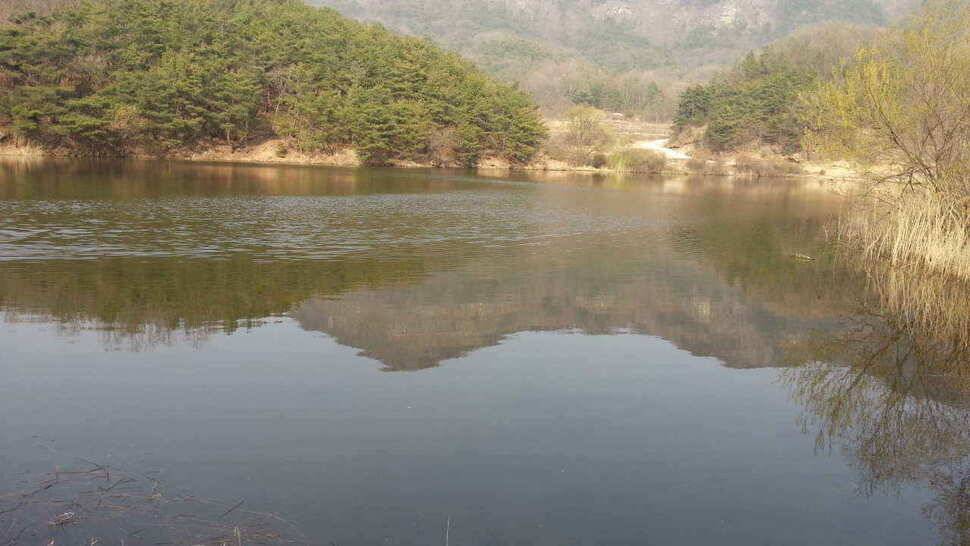 구미권 붕어낚시 안내 (조황조행기 - 낚시점조황)