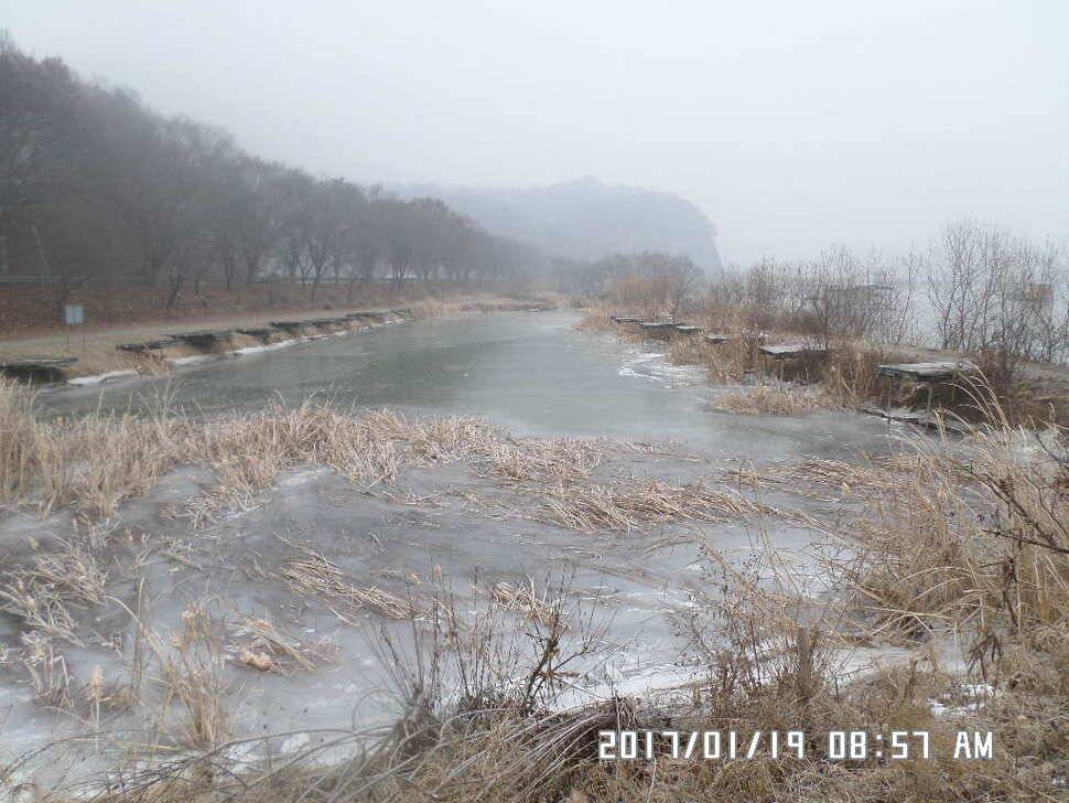 충주 탄금호 낚시조황 (조황조행기 - 낚시점조황)