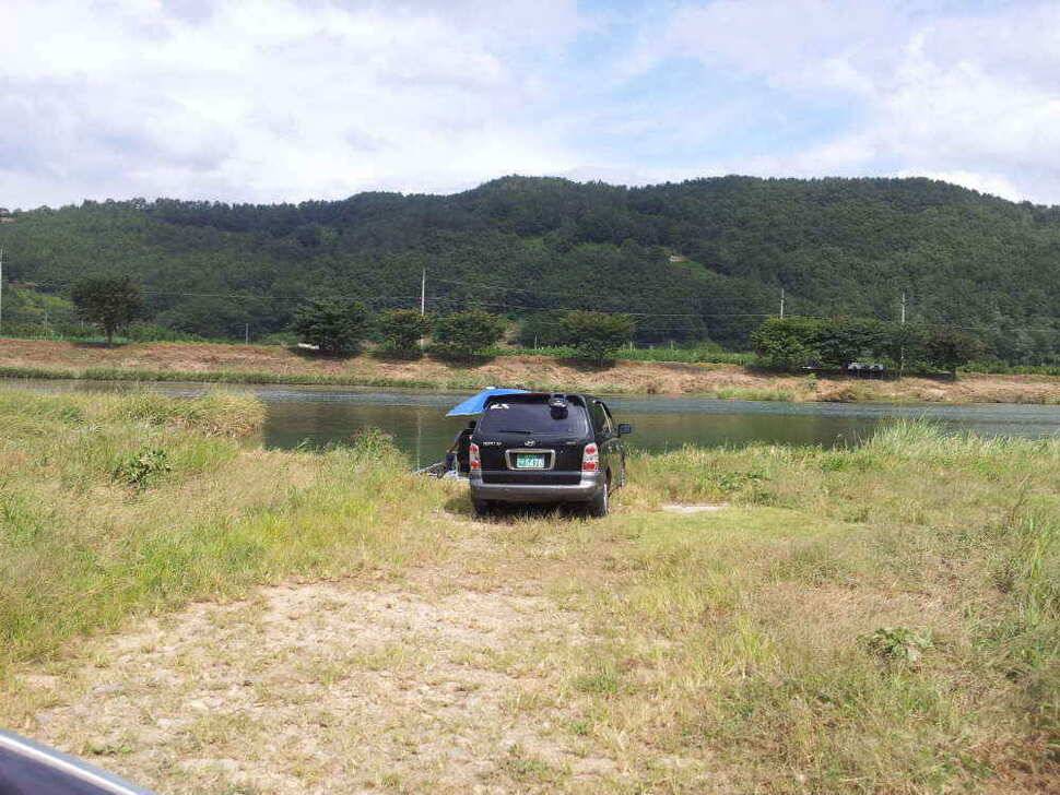 물색 좋은 청도천 조황입니다 (조황조행기 - 낚시점조황)