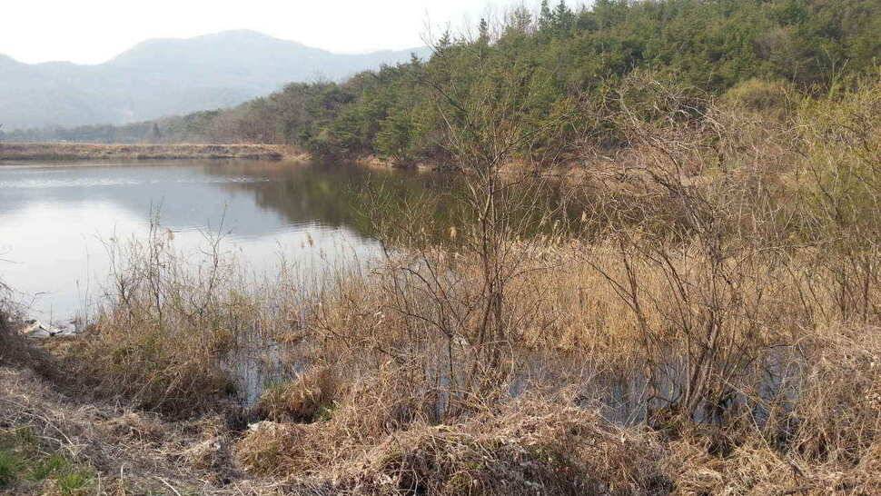 구미권 붕어낚시 안내 (조황조행기 - 낚시점조황)