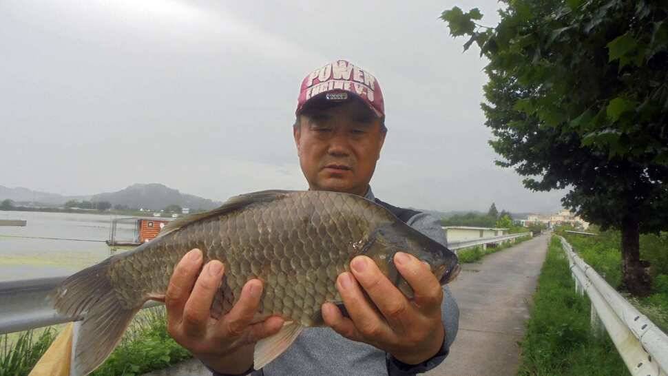 입석및 주변조황 (조황조행기 - 낚시점조황)