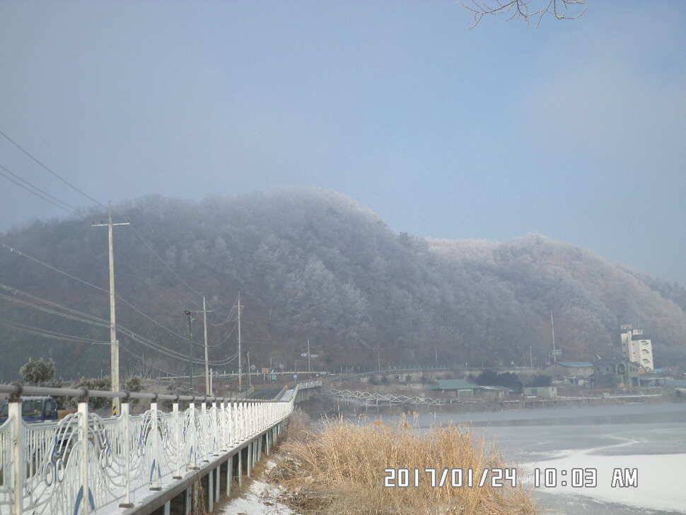 충주 탄금호 낚시조황 (조황조행기 - 낚시점조황)