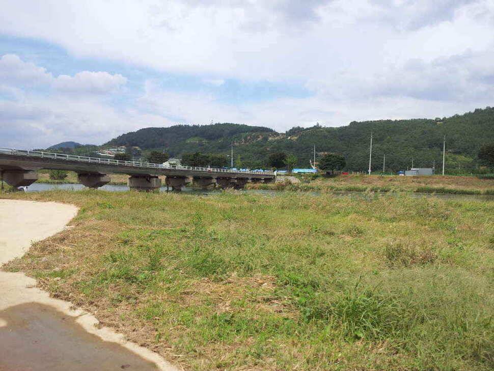 물색 좋은 청도천 조황입니다 (조황조행기 - 낚시점조황)