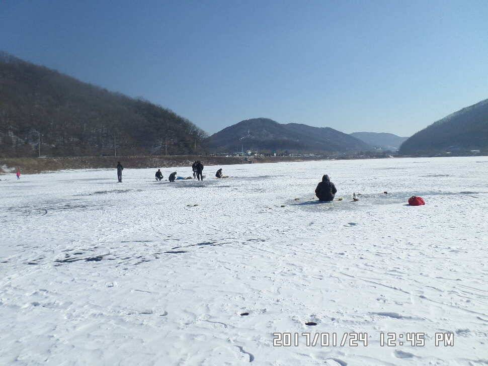 충주 탄금호 낚시조황 (조황조행기 - 낚시점조황)
