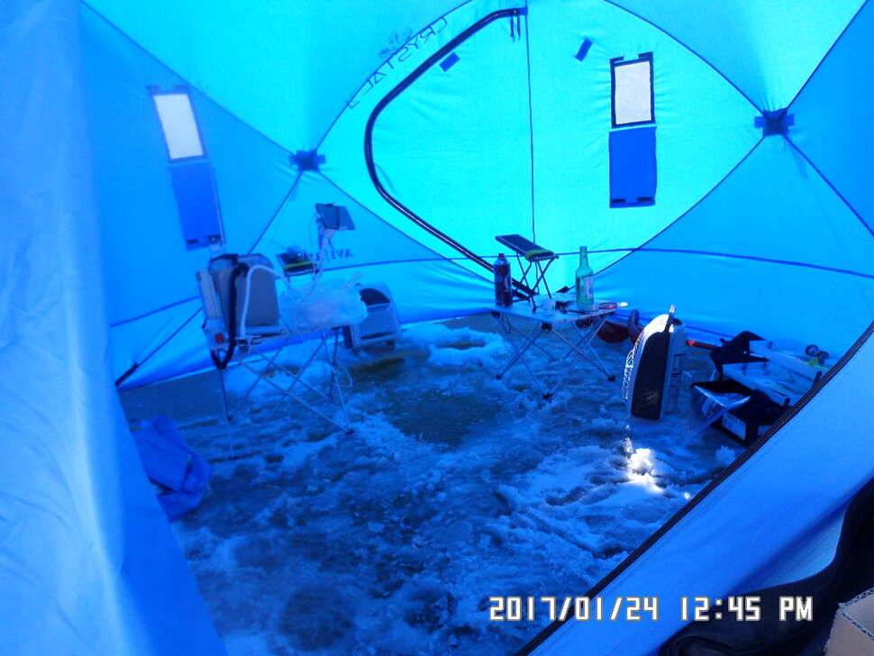 충주 탄금호 낚시조황 (조황조행기 - 낚시점조황)
