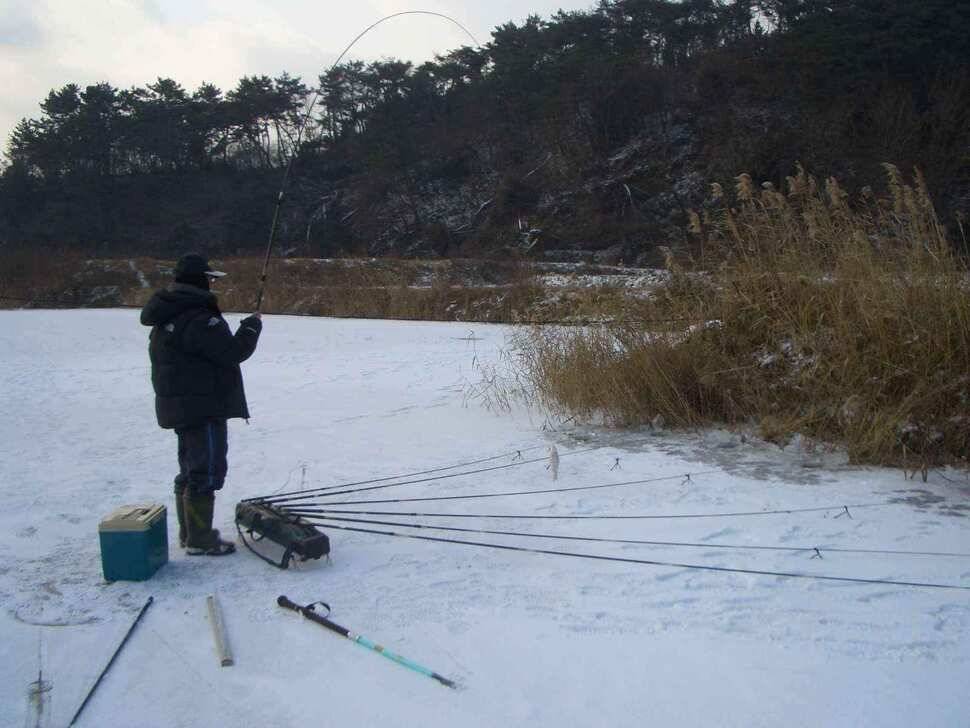 서산권 얼음낚시 조황 출조시 참고하세요 (조황조행기 - 낚시점조황)
