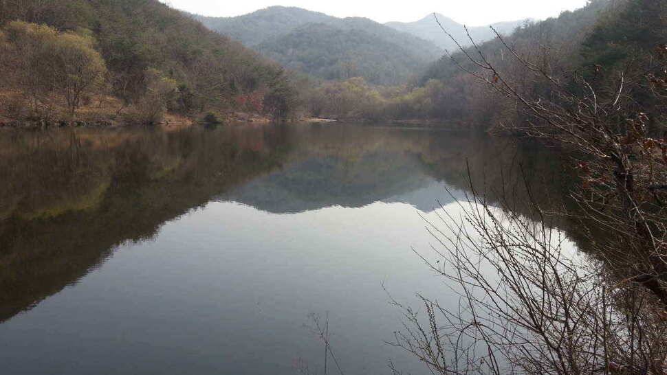 구미권 붕어낚시 안내 (조황조행기 - 낚시점조황)