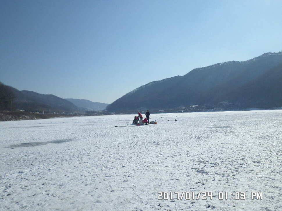 충주 탄금호 낚시조황 (조황조행기 - 낚시점조황)