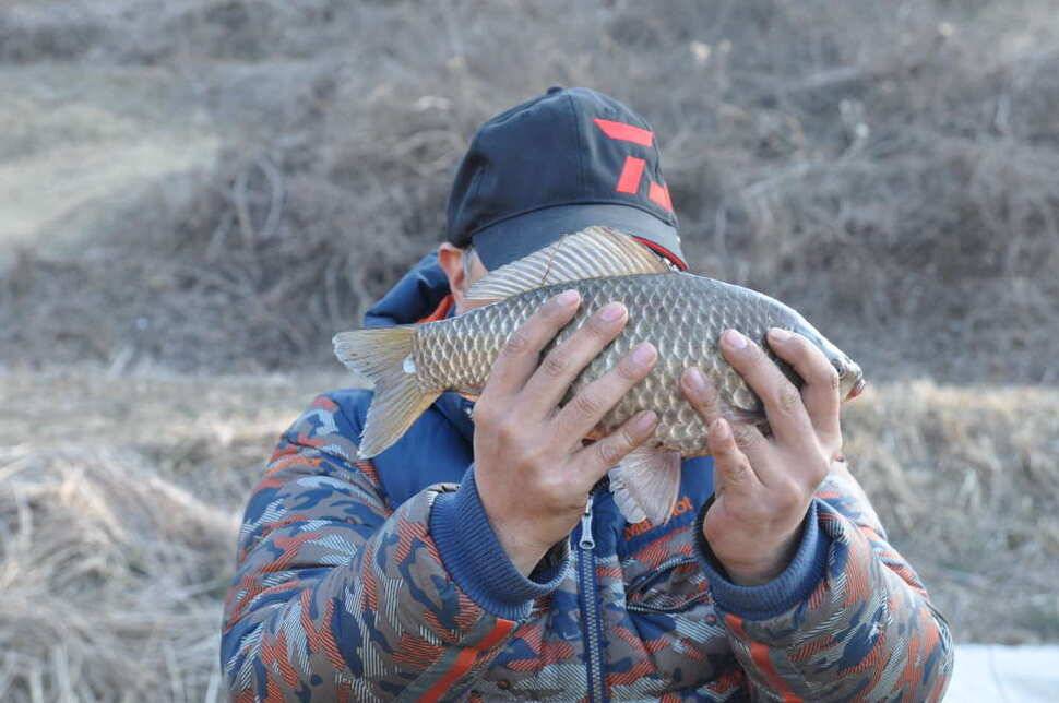 창녕권 조황 소식 (조황조행기 - 낚시점조황)