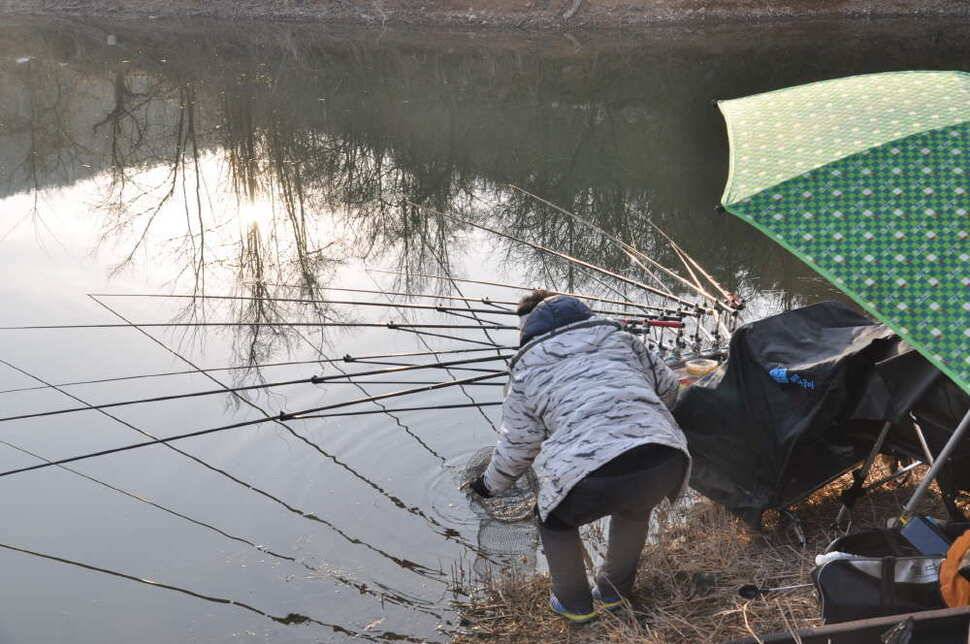 창녕권 조황 소식 (조황조행기 - 낚시점조황)