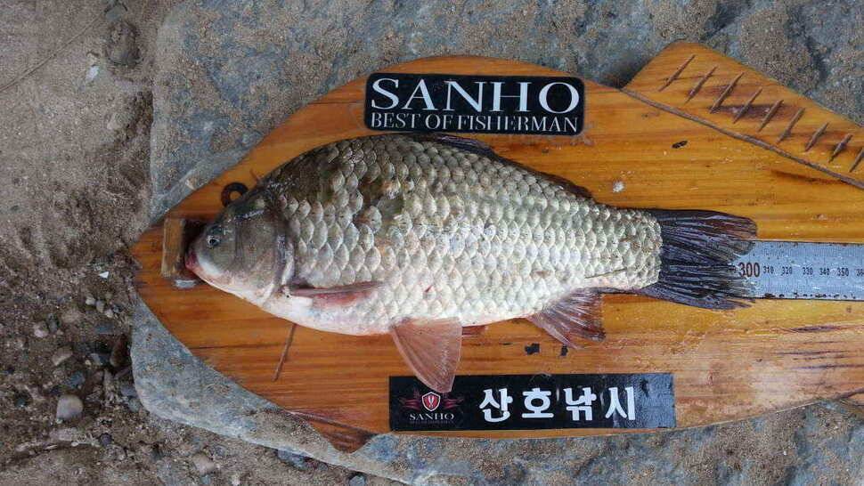 구미 저수지 상황과 낙동강 조황소식 입니다 (조황조행기 - 낚시점조황)