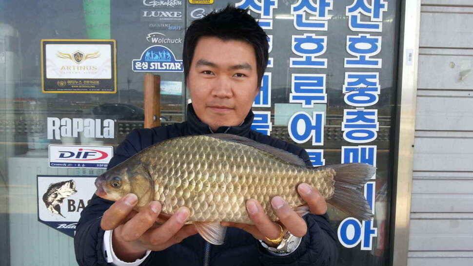 구미권 붕어낚시 안내 (조황조행기 - 낚시점조황)