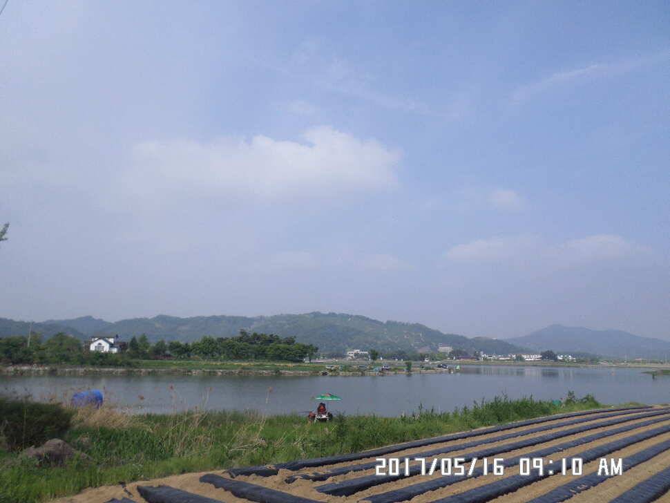 2마리의대물44cm조황 (조황조행기 - 낚시점조황)