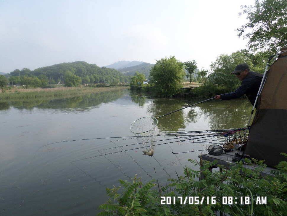 2마리의대물44cm조황 (조황조행기 - 낚시점조황)