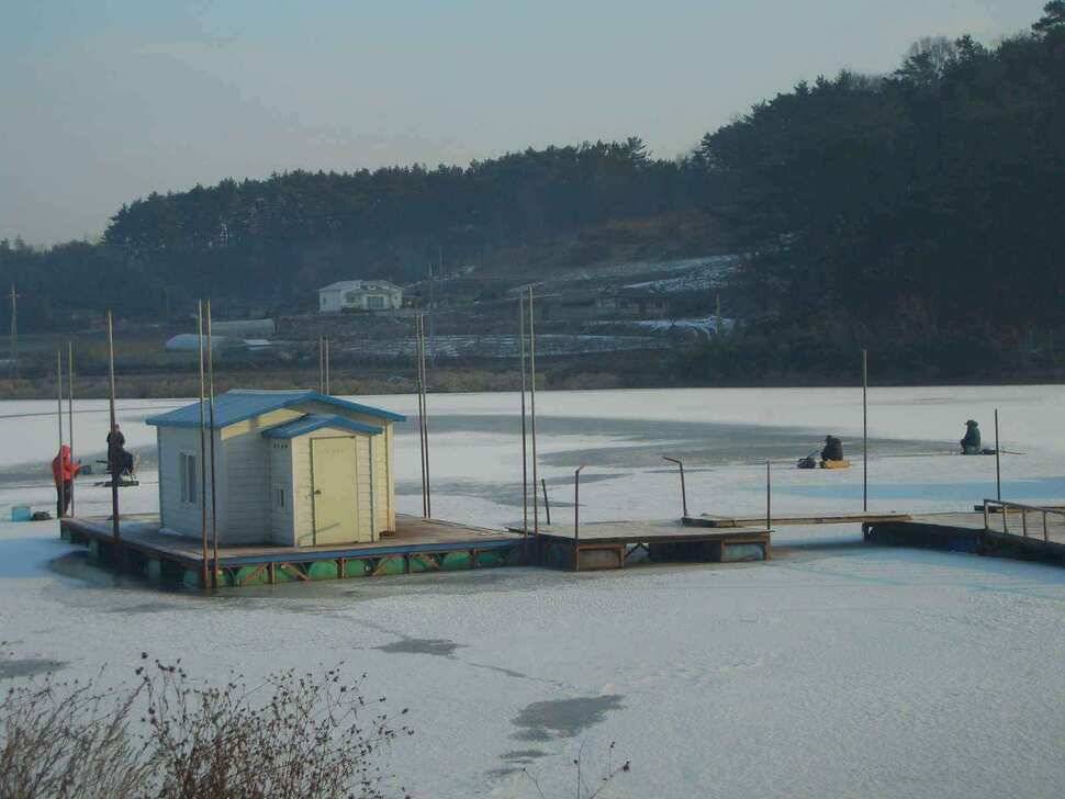 서태안권 얼음낚시 조황 출조시 참고하세요 (조황조행기 - 낚시점조황)