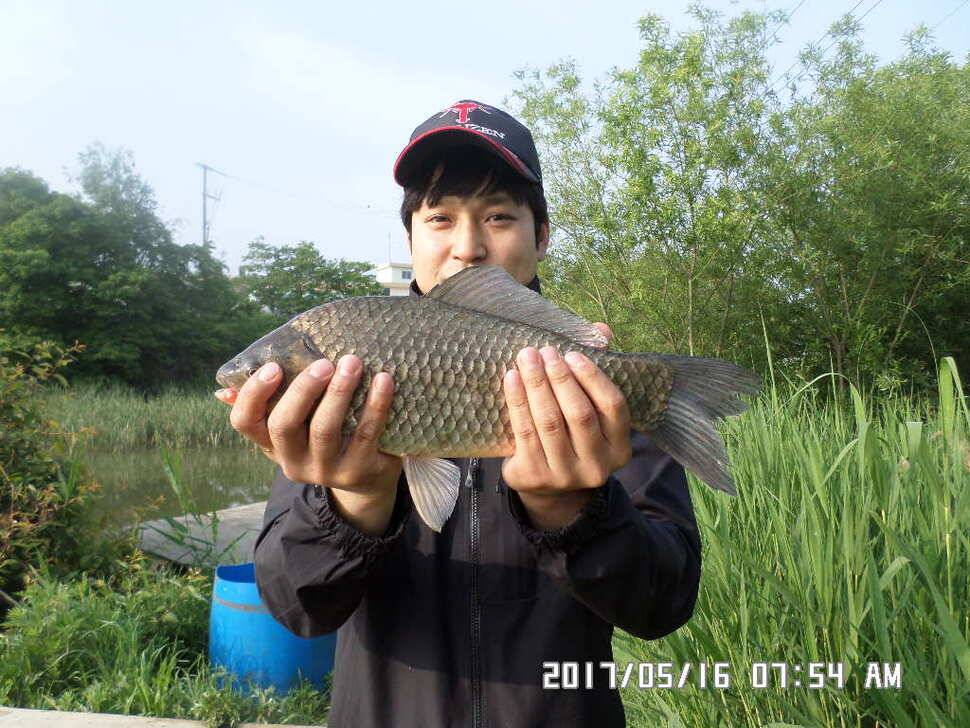2마리의대물44cm조황 (조황조행기 - 낚시점조황)