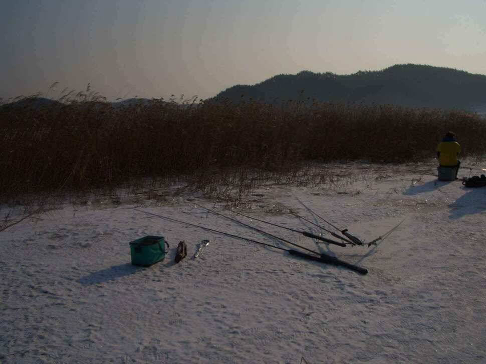 서태안권 얼음낚시 조황 출조시 참고하세요 (조황조행기 - 낚시점조황)