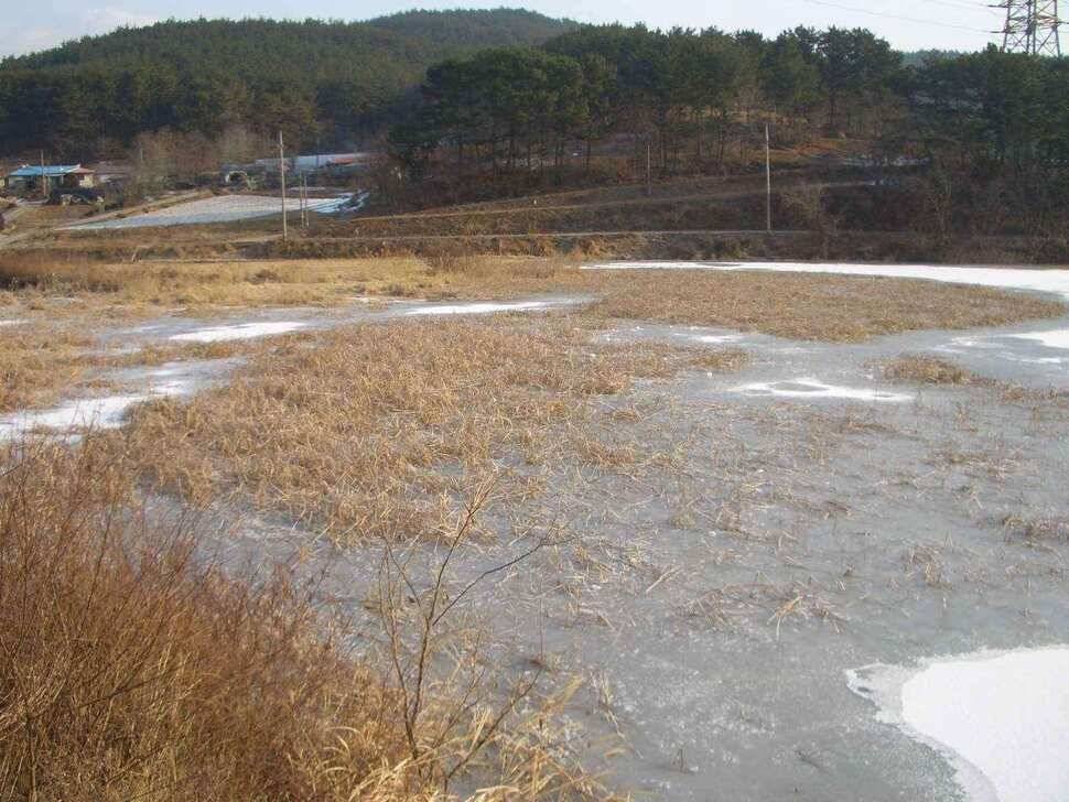 서태안권 얼음낚시 조황 출조시 참고하세요 (조황조행기 - 낚시점조황)