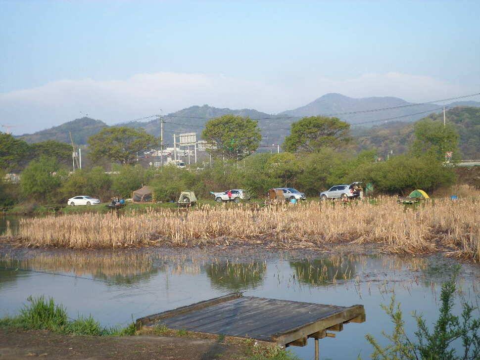 충주 탄금호 낚시조황 (조황조행기 - 낚시점조황)