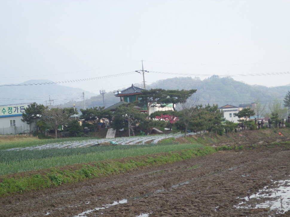 충주 탄금호 낚시조황 (조황조행기 - 낚시점조황)