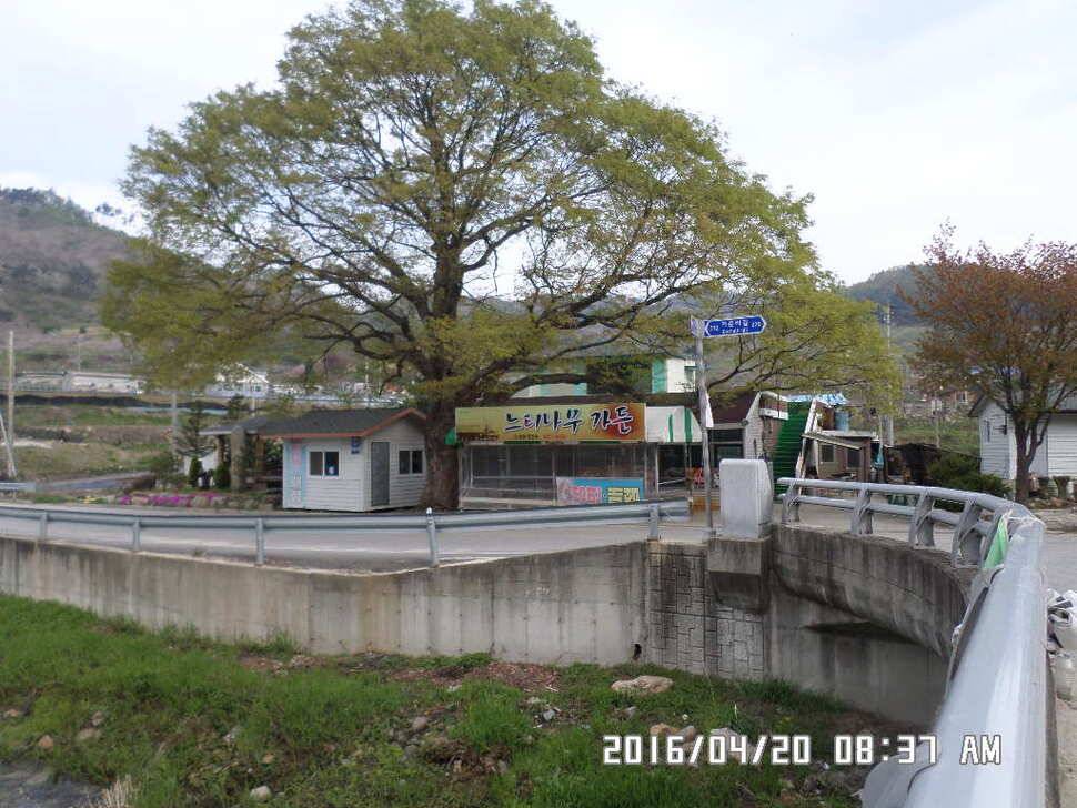 충주 탄금호 낚시조황 (조황조행기 - 낚시점조황)