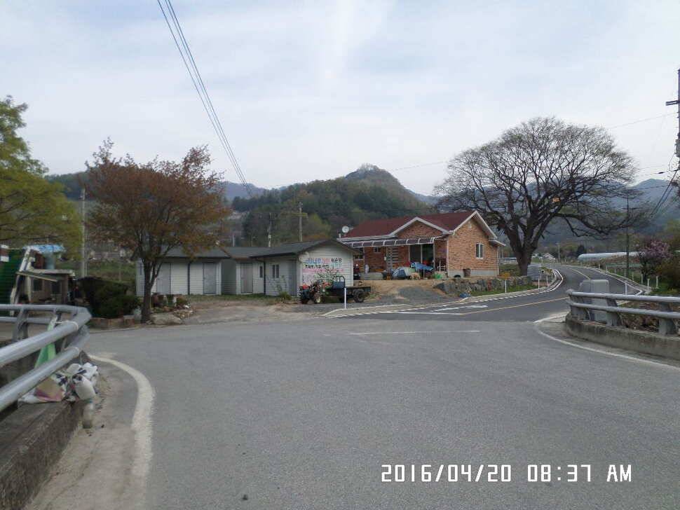 충주 탄금호 낚시조황 (조황조행기 - 낚시점조황)