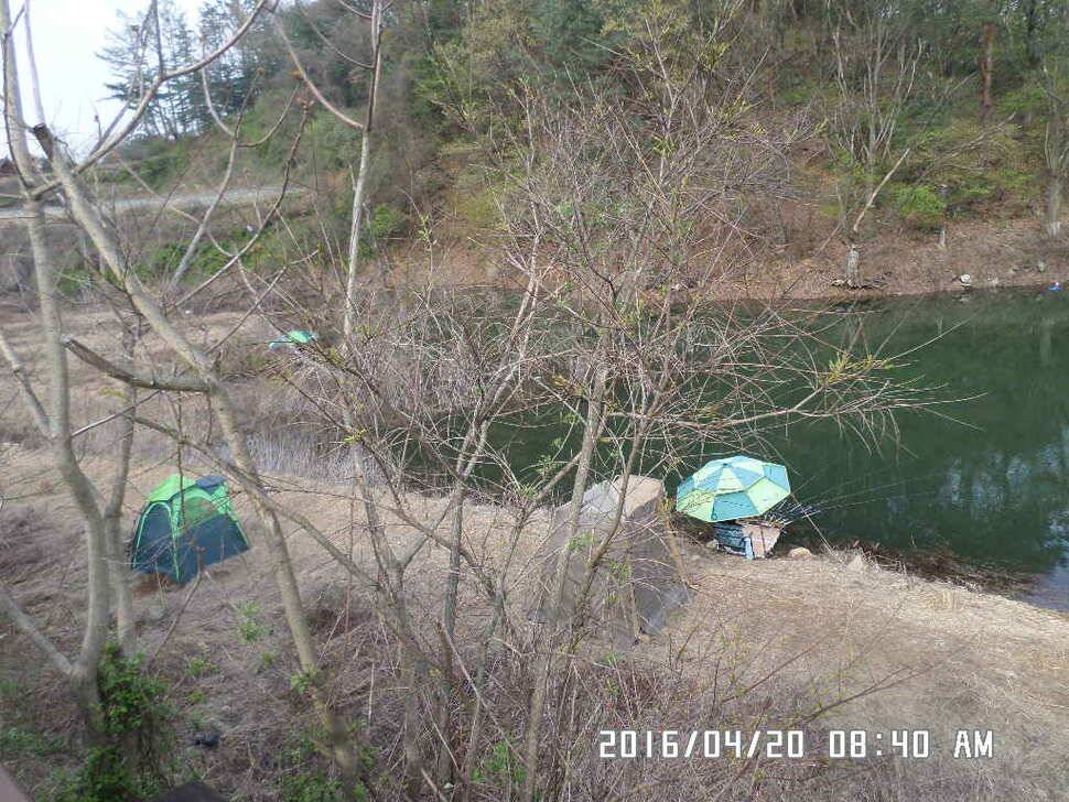 충주 탄금호 낚시조황 (조황조행기 - 낚시점조황)