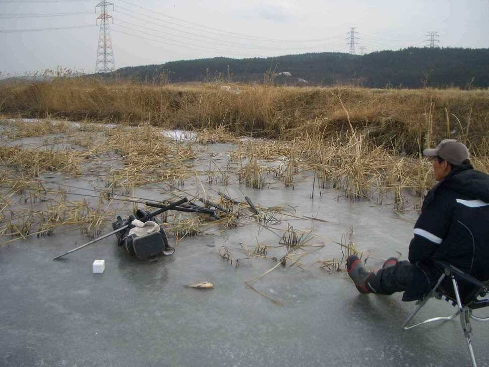서태안권 얼음낚시 조황 출조시 참고하세요 (조황조행기 - 낚시점조황)