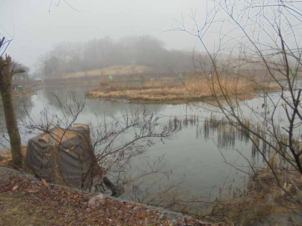 충주 이박사낚시입니다 (조황조행기 - 낚시점조황)