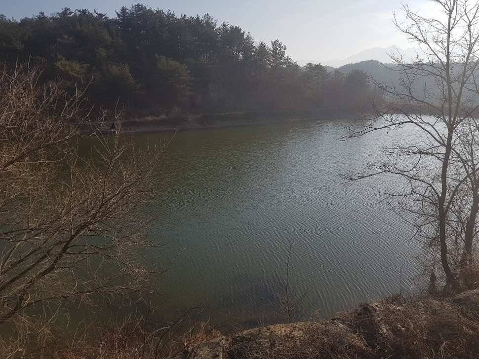 창녕권 조황 살아 나고 있습니다 (조황조행기 - 낚시점조황)