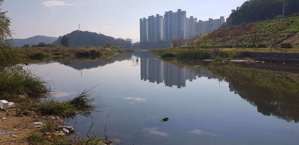 구미권 추석연휴 붕어조황 (조황조행기 - 낚시점조황)