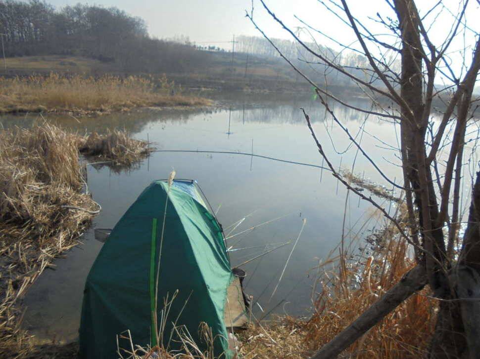 충주 이박사낚시입니다 (조황조행기 - 낚시점조황)