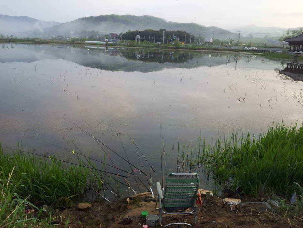 청도권유등연지성곡땜 청도천조황입니다 (조황조행기 - 낚시점조황)