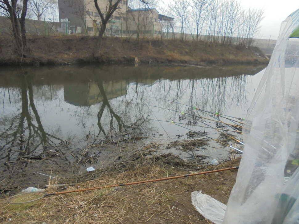 충주 이박사낚시입니다 (조황조행기 - 낚시점조황)