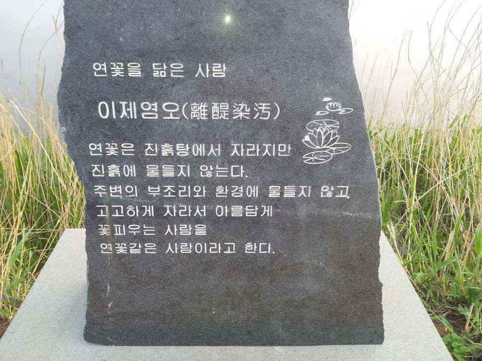 청도권유등연지성곡땜 청도천조황입니다 (조황조행기 - 낚시점조황)