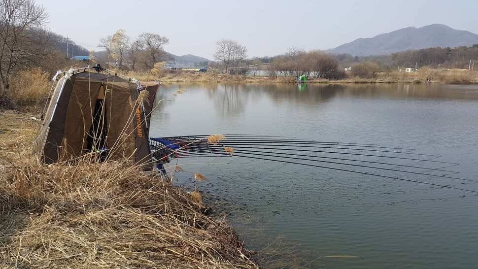 음성 관성지 (조황조행기 - 낚시점조황)