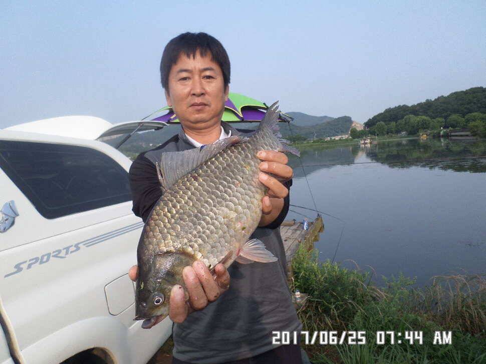 충주탄금호낚시조황 (조황조행기 - 낚시점조황)