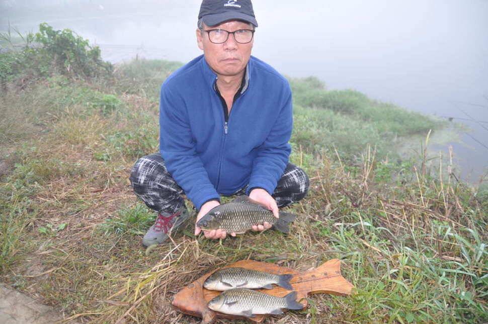 창녕권 조황 (조황조행기 - 낚시점조황)