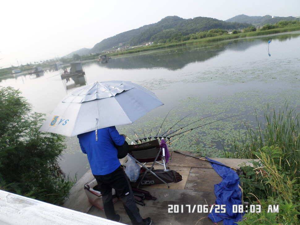 충주탄금호낚시조황 (조황조행기 - 낚시점조황)