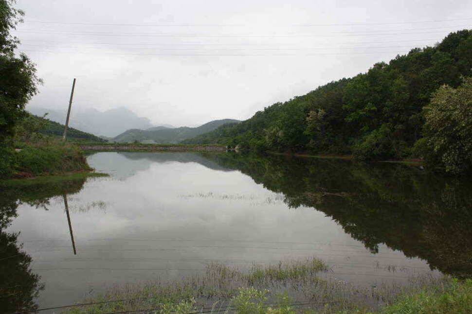 경산권 소류지 4짜들이 활발한 움직임을 보이고 있습니다 (조황조행기 - 낚시점조황)