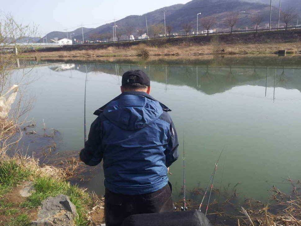청도권 조황입니다청도천유동연지 산란중 (조황조행기 - 낚시점조황)