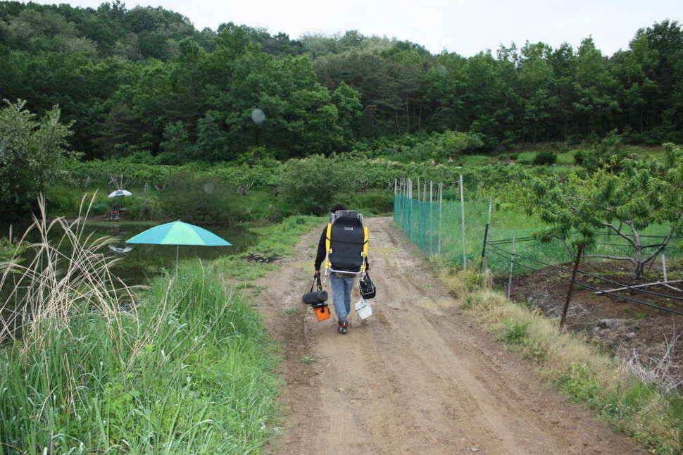 경산권 소류지 4짜들이 활발한 움직임을 보이고 있습니다 (조황조행기 - 낚시점조황)