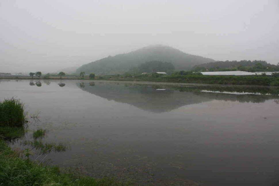 경산권 소류지 4짜들이 활발한 움직임을 보이고 있습니다 (조황조행기 - 낚시점조황)