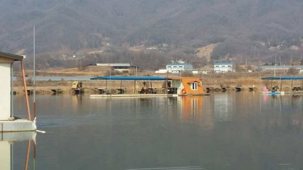 음성모란지 (조황조행기 - 낚시점조황)