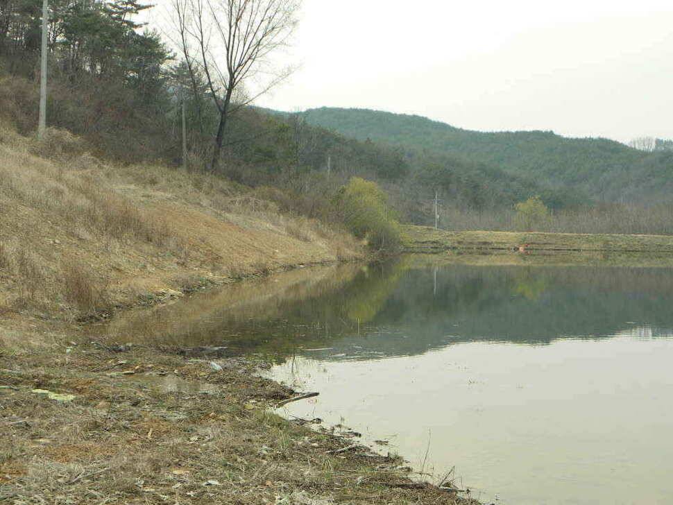 이젠 우리지역도 대물의 움직임이 시작되나봅니다 (조황조행기 - 낚시점조황)