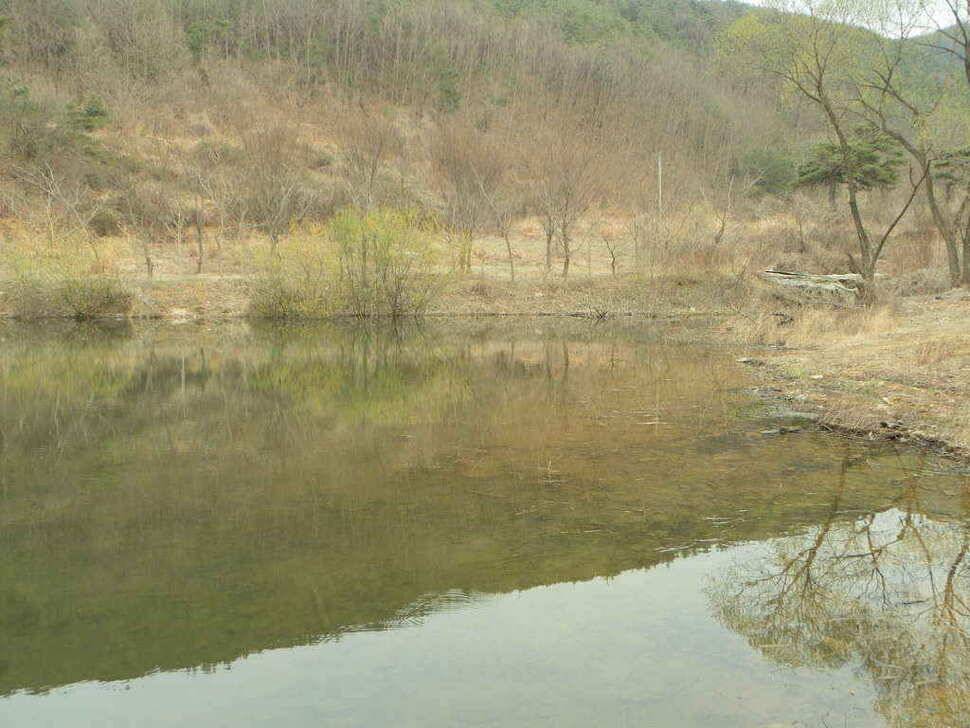 이젠 우리지역도 대물의 움직임이 시작되나봅니다 (조황조행기 - 낚시점조황)