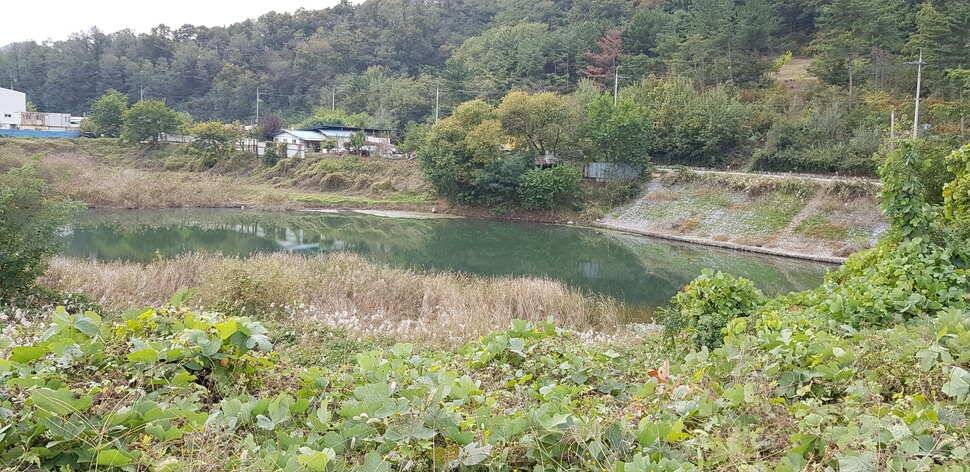 구미 붕어조황추수편 (조황조행기 - 낚시점조황)