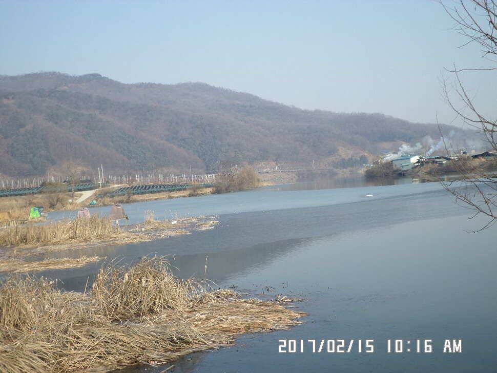 충주 탄금호 낚시조황 (조황조행기 - 낚시점조황)