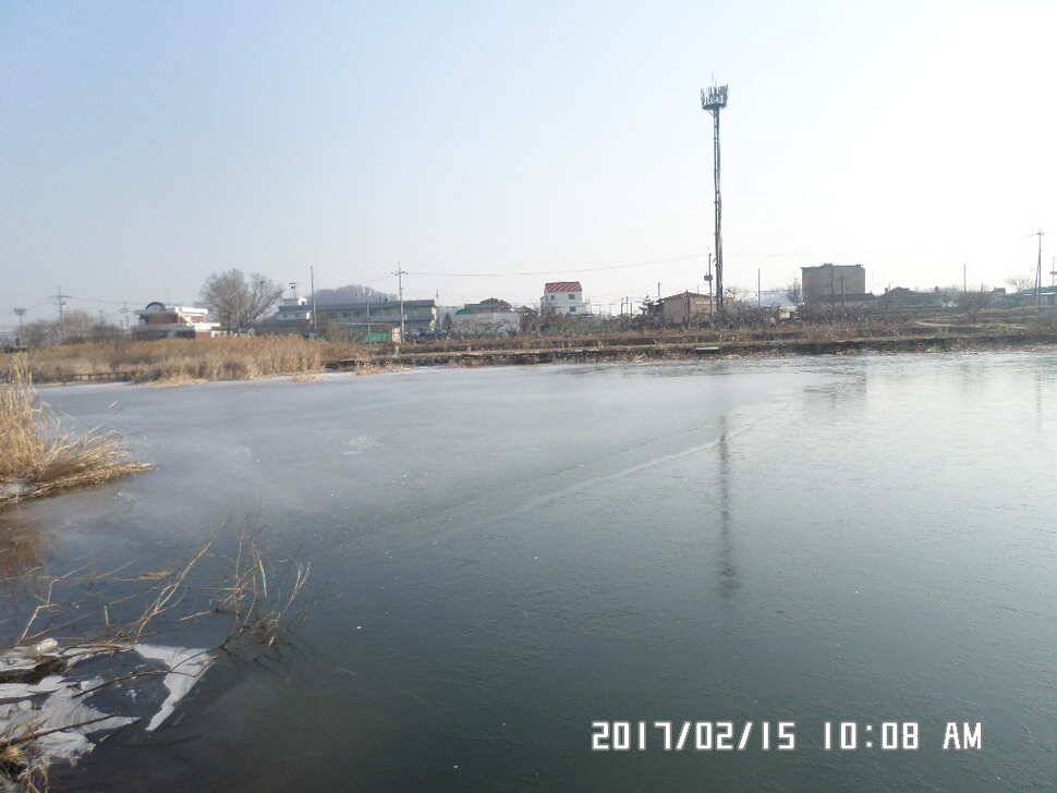 충주 탄금호 낚시조황 (조황조행기 - 낚시점조황)