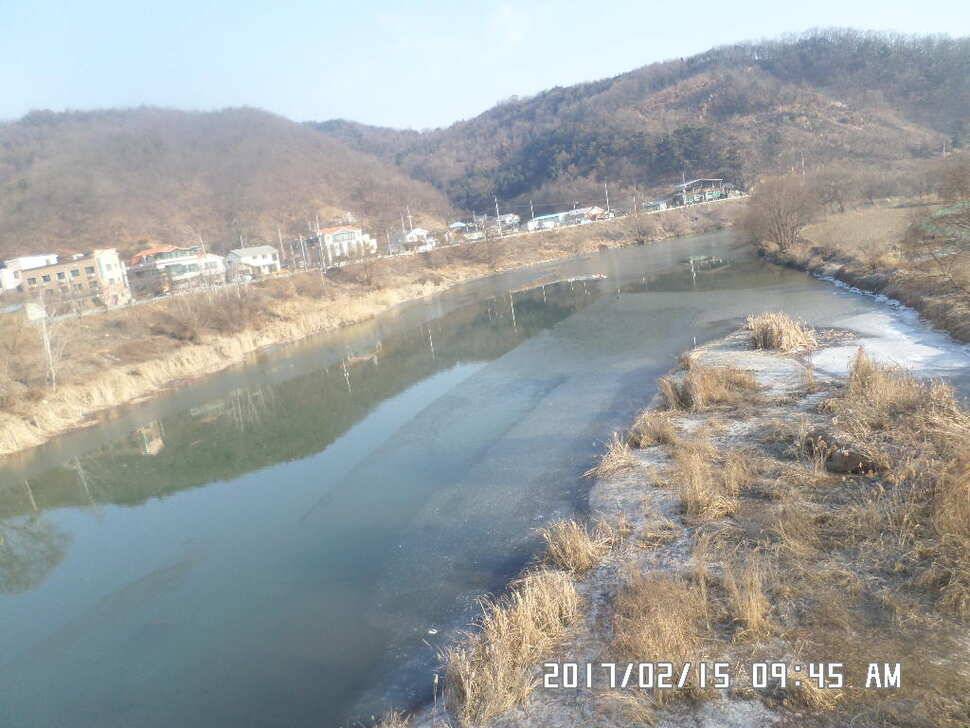 충주 탄금호 낚시조황 (조황조행기 - 낚시점조황)